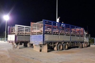 Giá lợn hơi trong nước giảm sau khi nhập lợn sống từ Thái Lan.