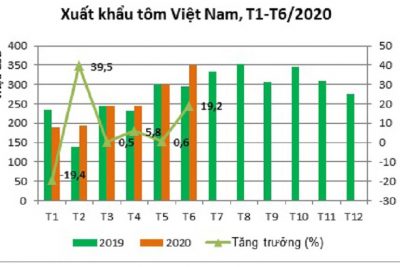 Tôm Việt Nam hưởng lợi nhờ ổn định sản xuất nhanh hơn sau COVID-19.