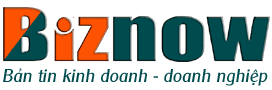 Logo-Biznow-272-x-90px